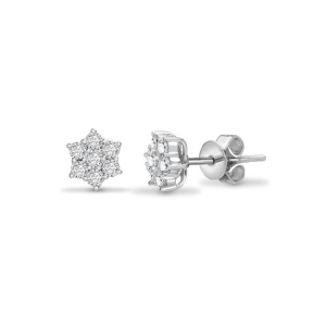  0.50-2.00 Carat Natural Round Cut Diamonds Stud Earrings