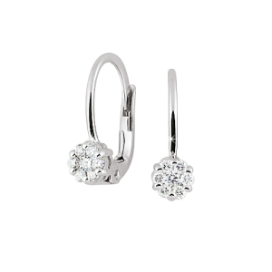 0.25 Carat Natural And Lab Grown Round Shaped Prong Setting Hoop Earrings