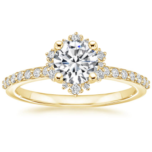 Celine 0.20-3.00 Carat Fancy Round Diamond Engagement Ring