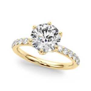 Yerin Natural Diamond Yellow Gold 4 Prong Set Halo Engagement Ring