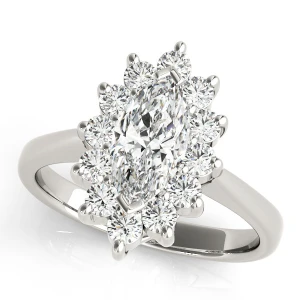 Kallie Natural Platinum Halo Diamond Ring