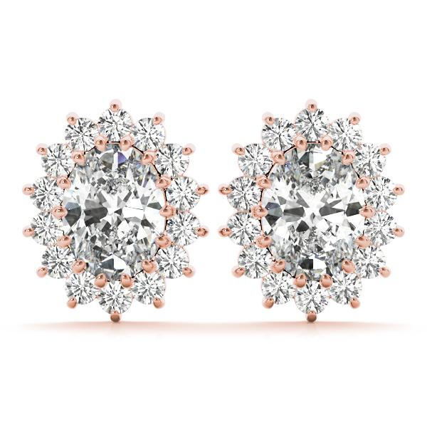 Sandrea Natural Prong Set  Diamond Earrings