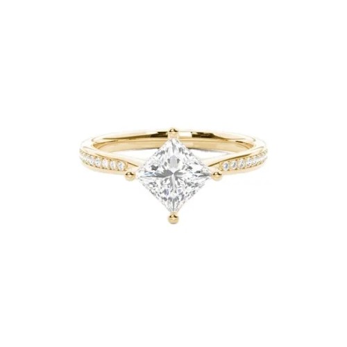 0.25 - 10.00 Carat Natural Princess Cut Diamond Side Stone Engagement Ring