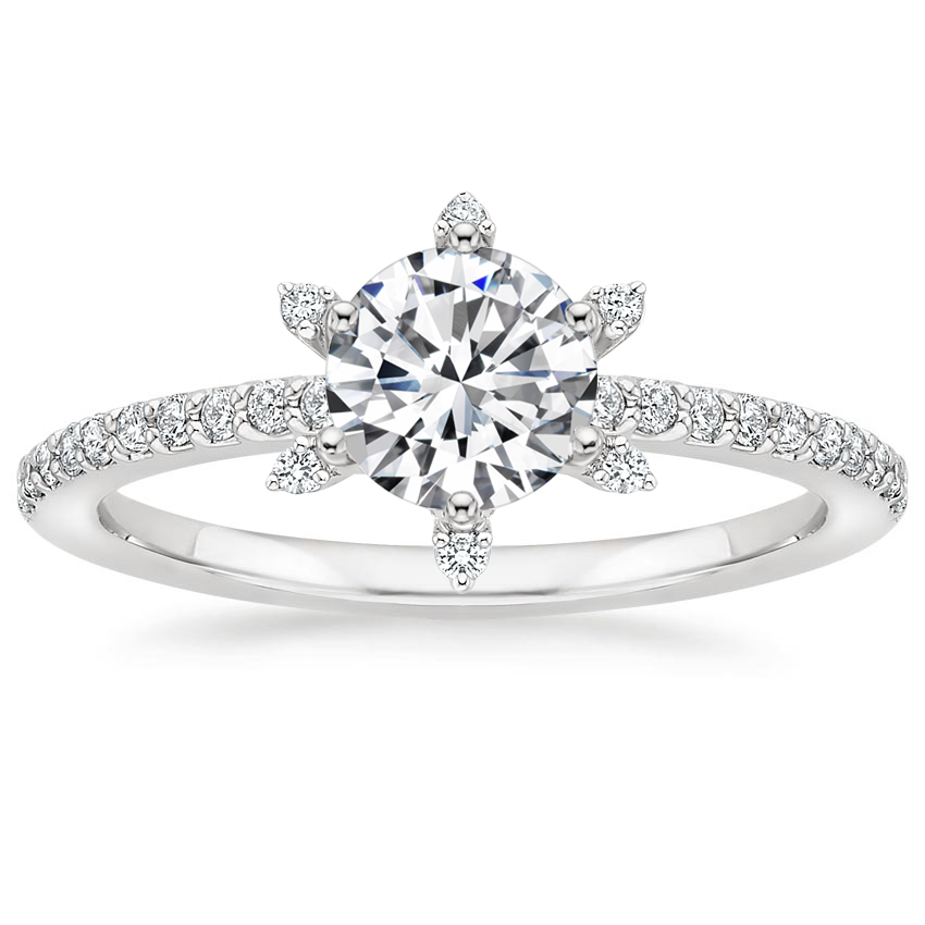 Reena 0.20-3.00 Carat Round Engagement Ring With Diamond Set