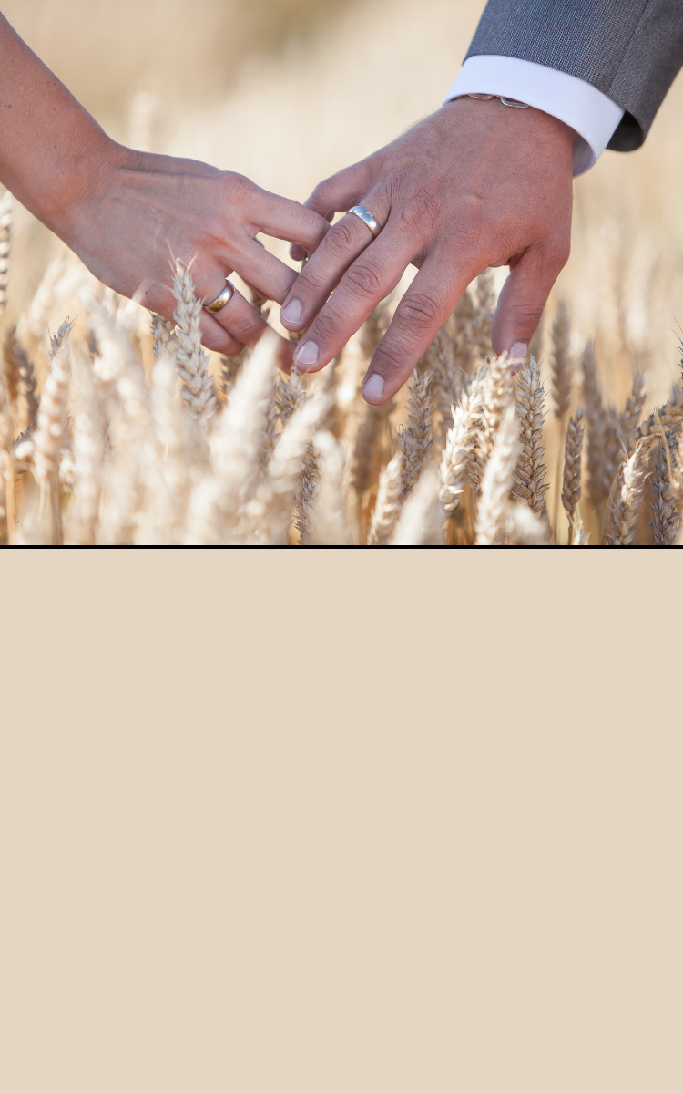 Wedding Rings